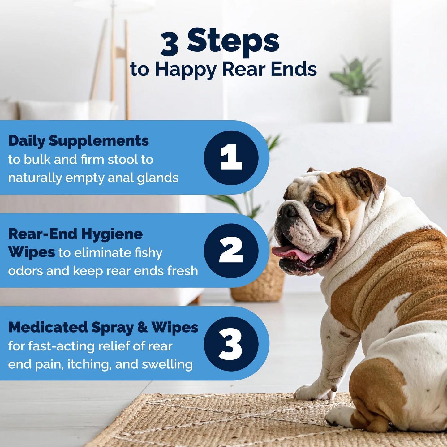 Glandex Advanced Vet Strength Anal Gland Medicated Itch Relief Spray for Dogs & Cats (4 oz) - All Dog & Cat Grooming 6