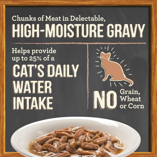 Merrick Purrfect Bistro Grain Free Bon Appetits Morsels Adult Wet Cat Food Salmon Recipe Morsels in Gravy (3 oz x 24