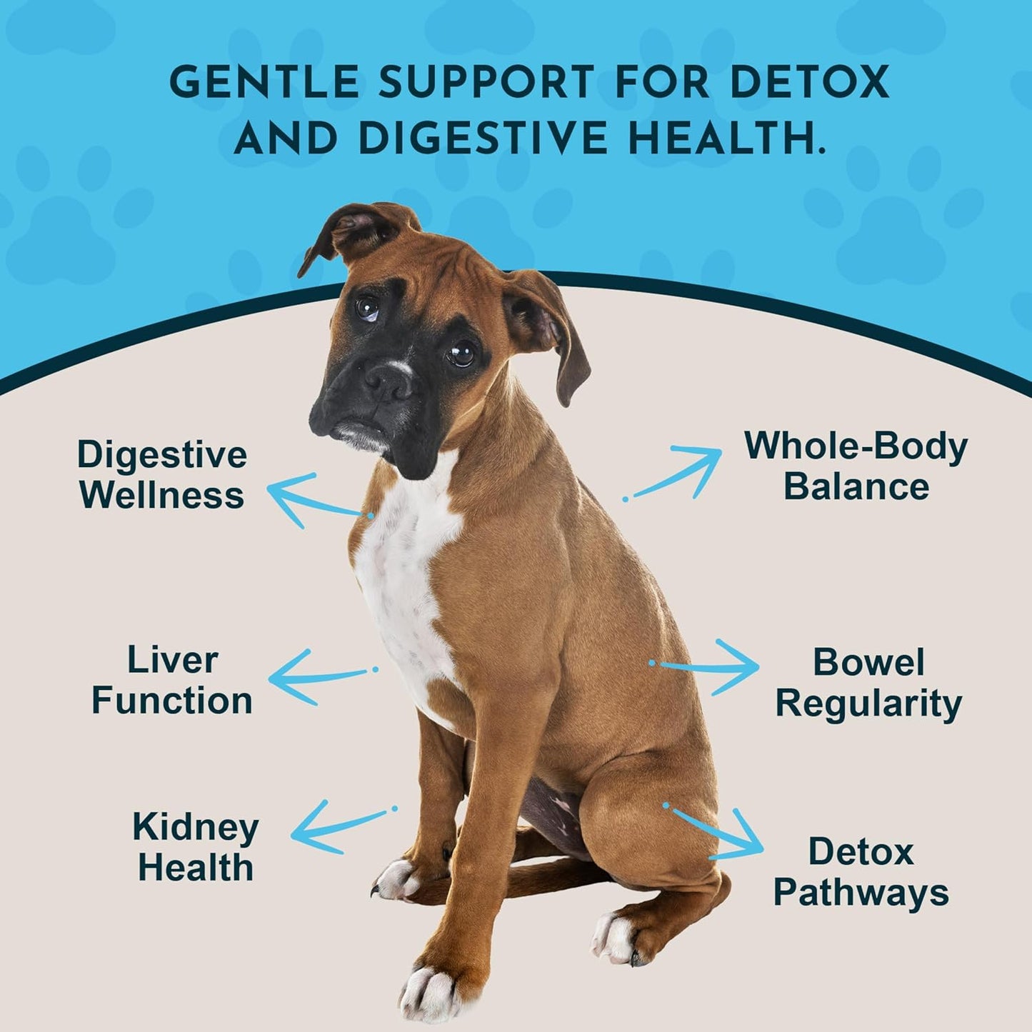 Animal Essentials Herbal Tonic Blend Body Cleanse Waste Elimination & Immune Support for Dogs & Cats - Dog Supplements