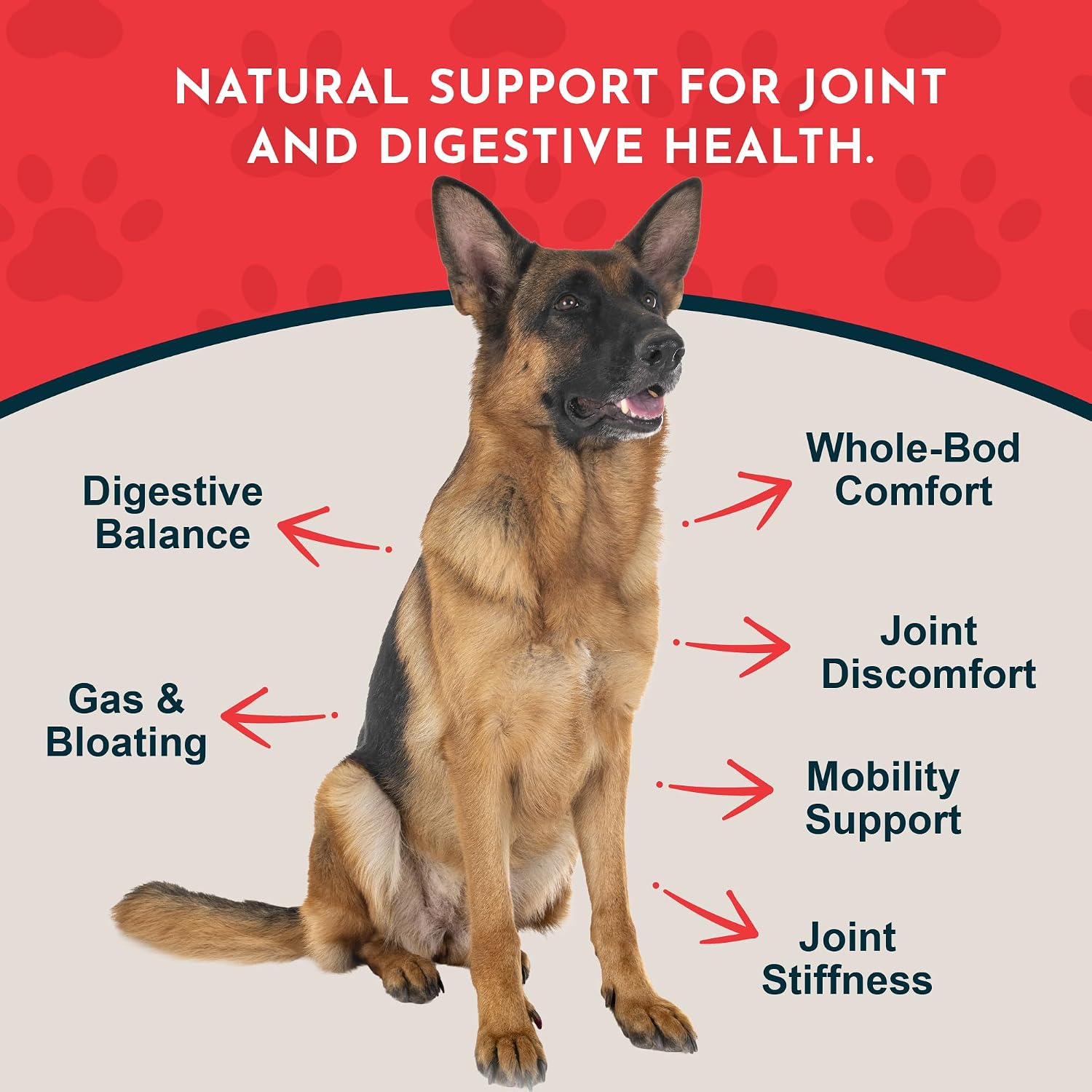 Animal Essentials Herbal Tonic Blend Joint Support Helps Stiffness & Soreness for Dogs & Cats - Dog Supplements &