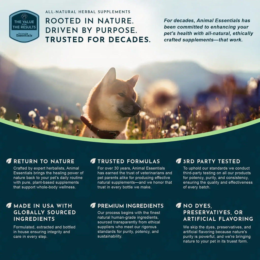 Animal Essentials Herbal Tonic Blend Super Immune Supports Healthy Immune System for Dogs & Cats - Dog Supplements &