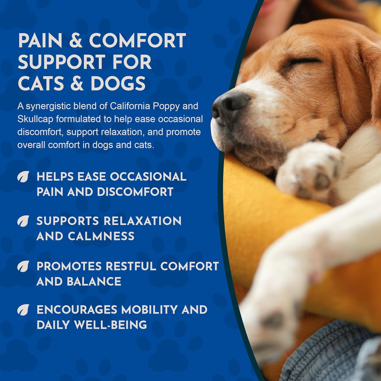 Animal Essentials Herbal Tonic Comfort Plus Manages Discomfort & Stress for Dogs & Cats - Dog Supplements & Vitamins 6