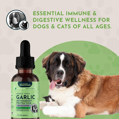Animal Essentials Herbal Tonic Garlic Antioxidant Protection for Dogs & Cats - Dog Supplements & Vitamins 6