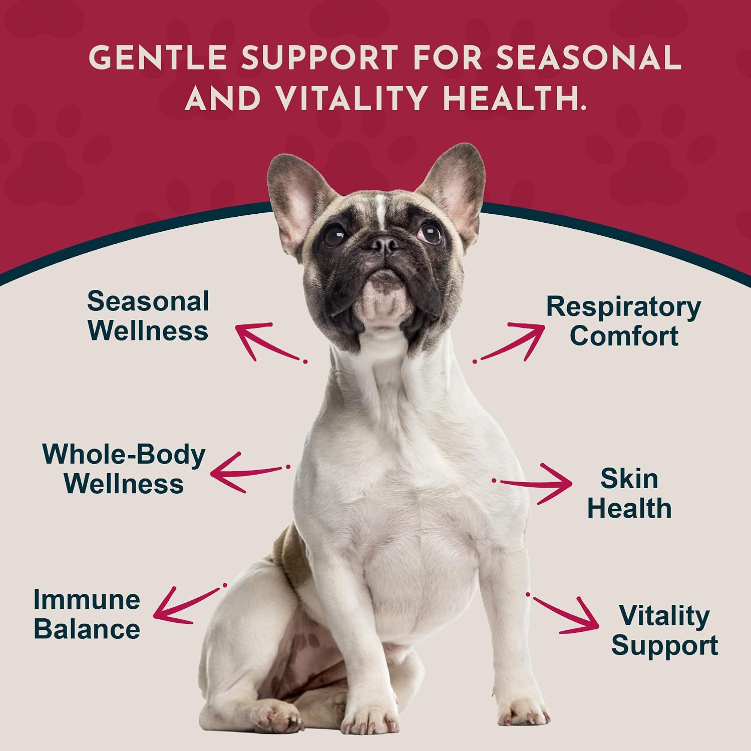 Animal Essentials Herbal Tonic Nettle Allergy Support for Dogs & Cats - Dog Supplements & Vitamins 9