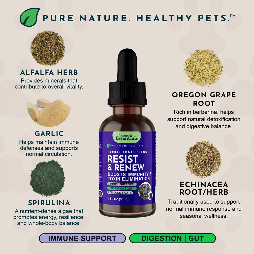 Animal Essentials Herbal Tonic Resist & Renew Boosts Immunity & Toxin Elimination for Dogs & Cats - Dog Supplements &