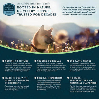 Animal Essentials Herbal Tonic Resist & Renew Boosts Immunity & Toxin Elimination for Dogs & Cats - Dog Supplements &