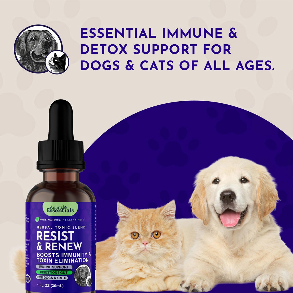 Animal Essentials Herbal Tonic Resist & Renew Boosts Immunity & Toxin Elimination for Dogs & Cats - Dog Supplements &
