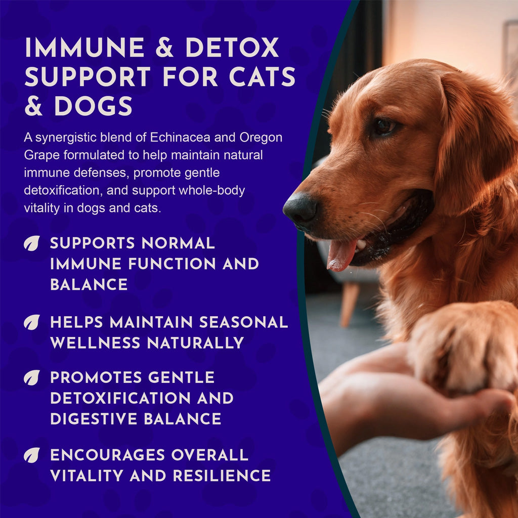 Animal Essentials Herbal Tonic Resist & Renew Boosts Immunity & Toxin Elimination for Dogs & Cats - Dog Supplements &