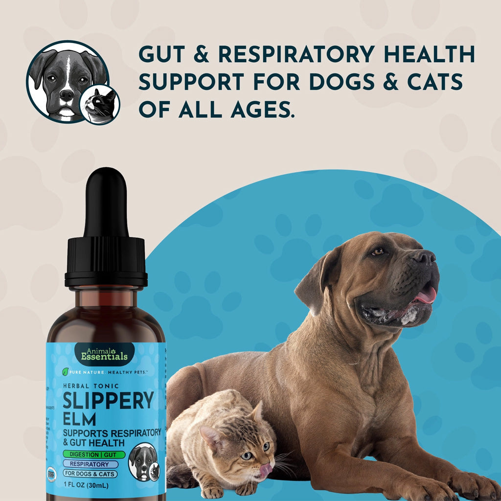 Animal Essentials Herbal Tonic Slippery Elm Supports Respiratory & Gut Health for Dogs & Cats - Dog Supplements &