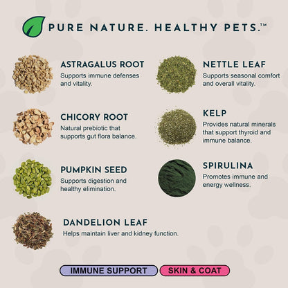 Animal Essentials Immuno Thrive Supplement Powder for Dogs & Cats 5.3-oz - Dog Supplements & Vitamins 5