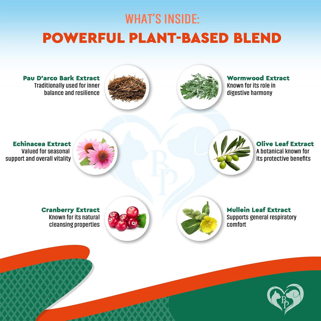 Beloved Pets Natural Herbiotic Liquid Urinary Supplement for Dogs & Cats 60-mL - Kidney & Bladder Supplements for Dogs 6