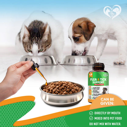 Beloved Pets Oral Flea & Tick Support Multivitamin Supplement for Dogs & Cats 2-oz - Dog Multi-Vitamins 4