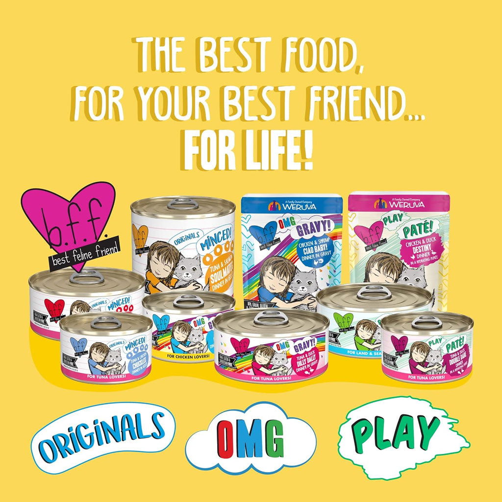 BFF Play Pate Lovers Chicken, Duck & Turkey Take a Chance Wet Cat Food