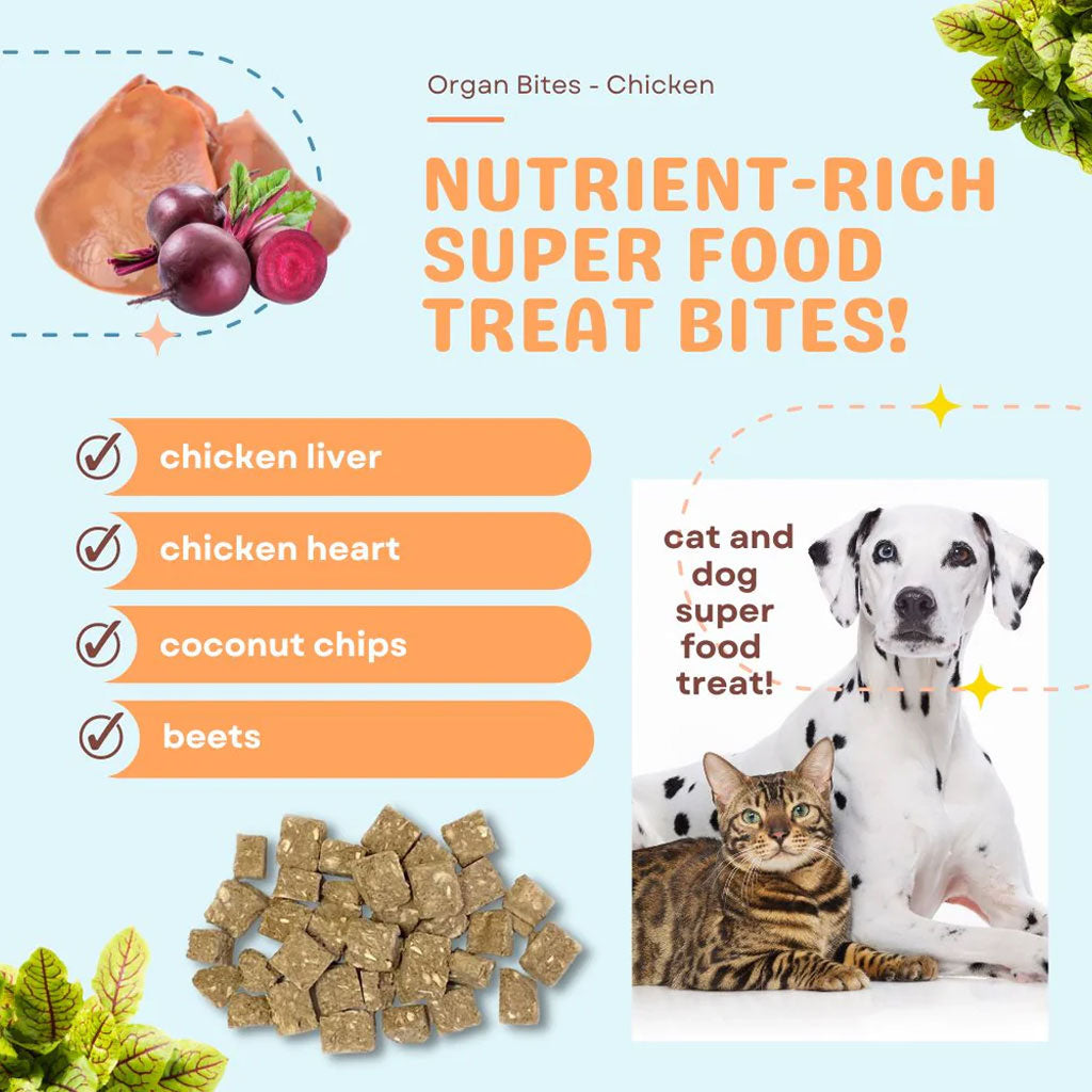 Promotional image of nutrient-rich super food treat bites for pets with ingredients listed and a couple of dogs and a cat.