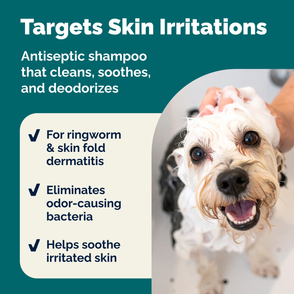 Vetnique Dermabliss Antiseptic Spray soothes irritated skin with an anti‑septic formula that helps keep dogs and cats fresh.