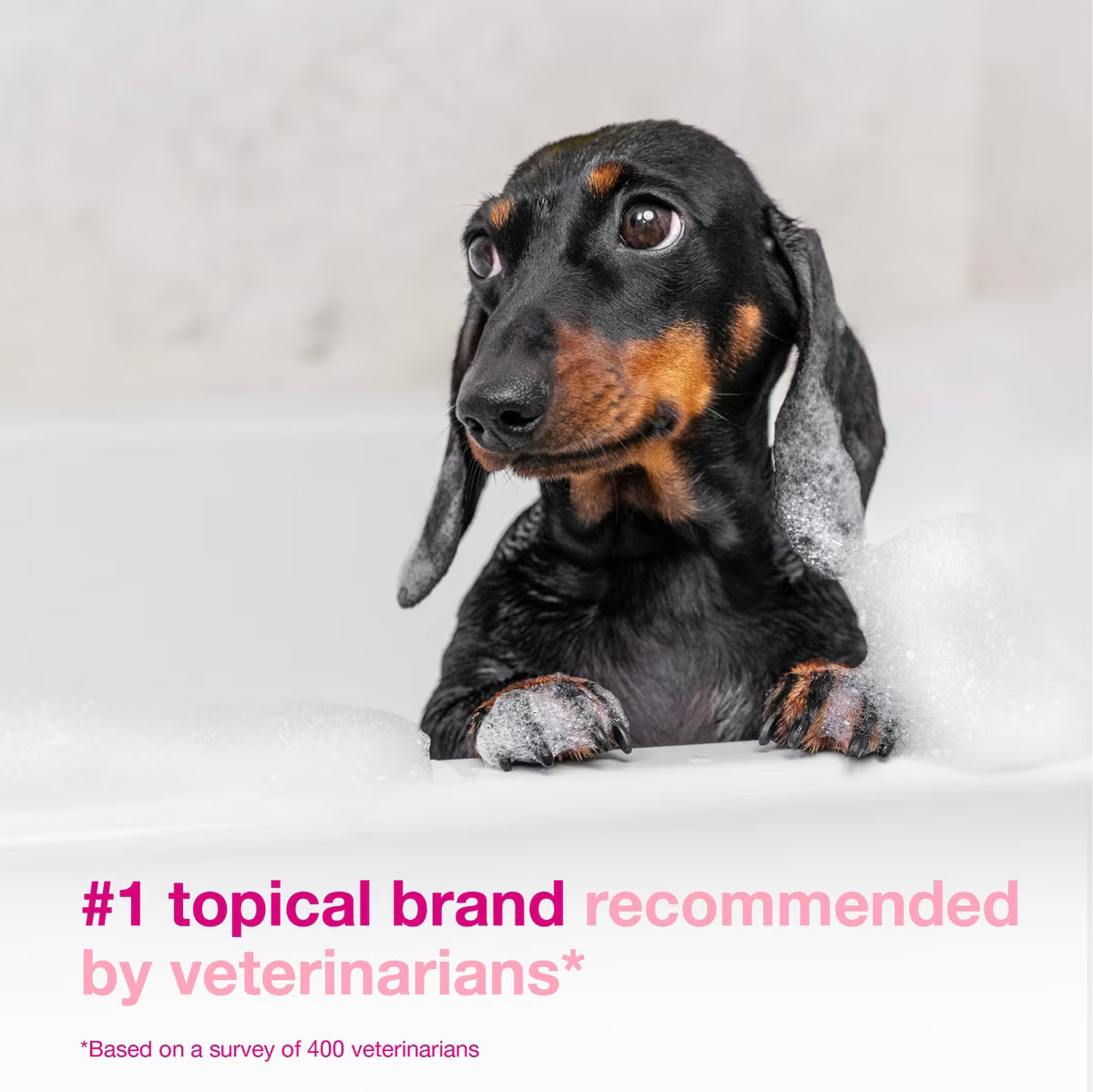 Douxo S3 CALM Soothing Itchy Hydrated Skin Dog & Cat Shampoo - Dog & Cat Shampoo 5