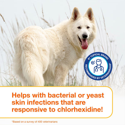 Douxo S3 PYO Antiseptic Antifungal Chlorhexidine Dog & Cat Shampoo - Dog Grooming 9