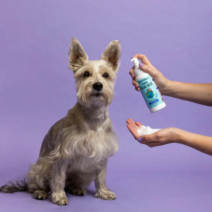 Earthbath Foaming Facial Wash Bilberry & Blueberry Pump For Dogs & Cats (8 oz)