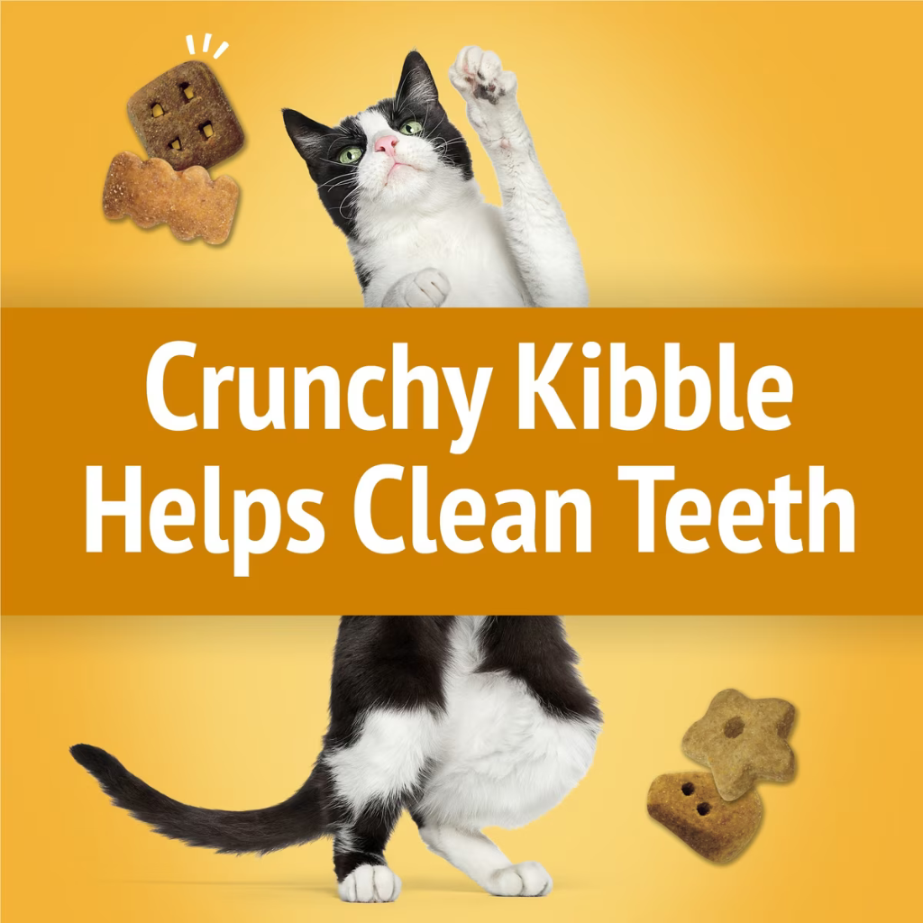 Friskies Party Mix Cheezy Craze Crunch Cat Treats - Cat Treats 5