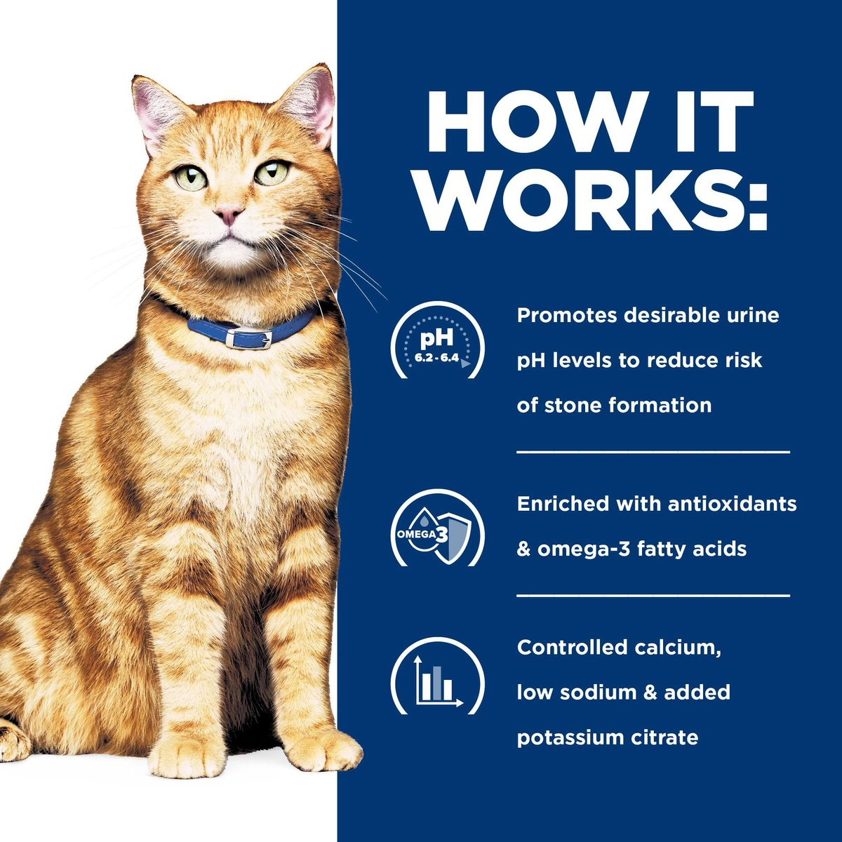 Hill’s Prescription Diet Metabolic + Urinary c/d Multicare Vegetable Tuna & Chicken Stew Wet Cat Food (2.8oz x 24