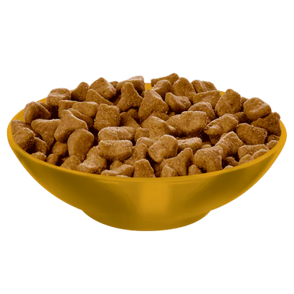 Hill's Science Diet Adult Hairball Control Dry Cat Food, Chicken Recipe, 15.5 lb Bag