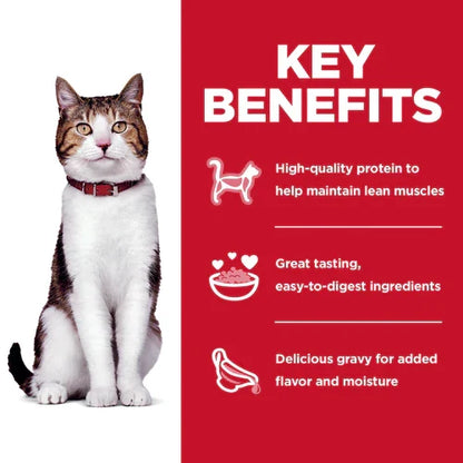 Key benefits