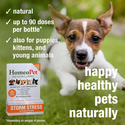 HomeoPet Storm Stress for Small Animals