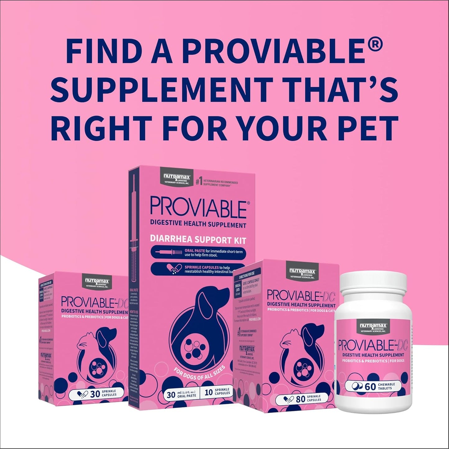 Nutramax Proviable Digestive Health Supplement Kit for Cats And Dogs