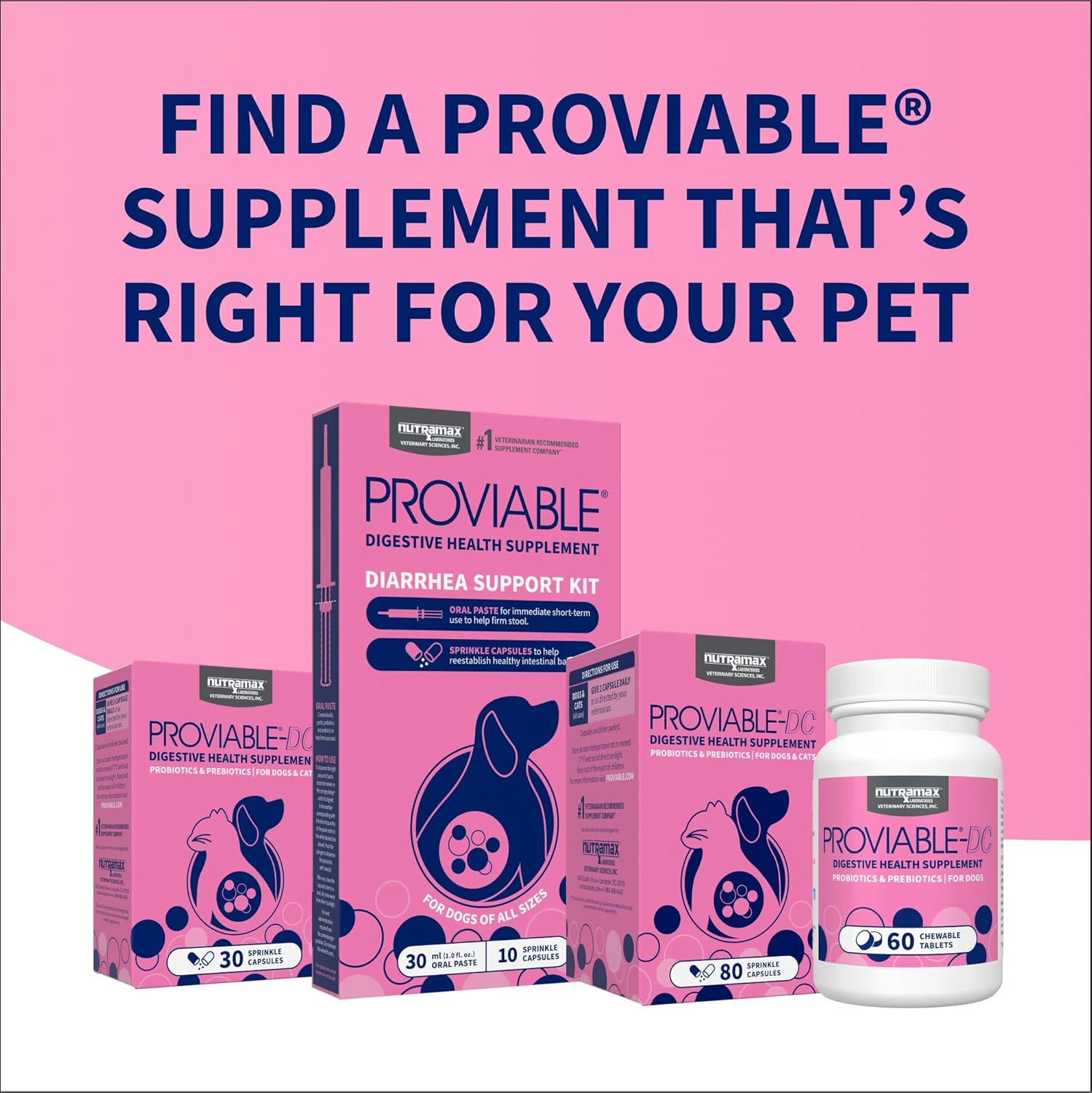 Nutramax Proviable Digestive Health Supplement Kit for Cats And Dogs