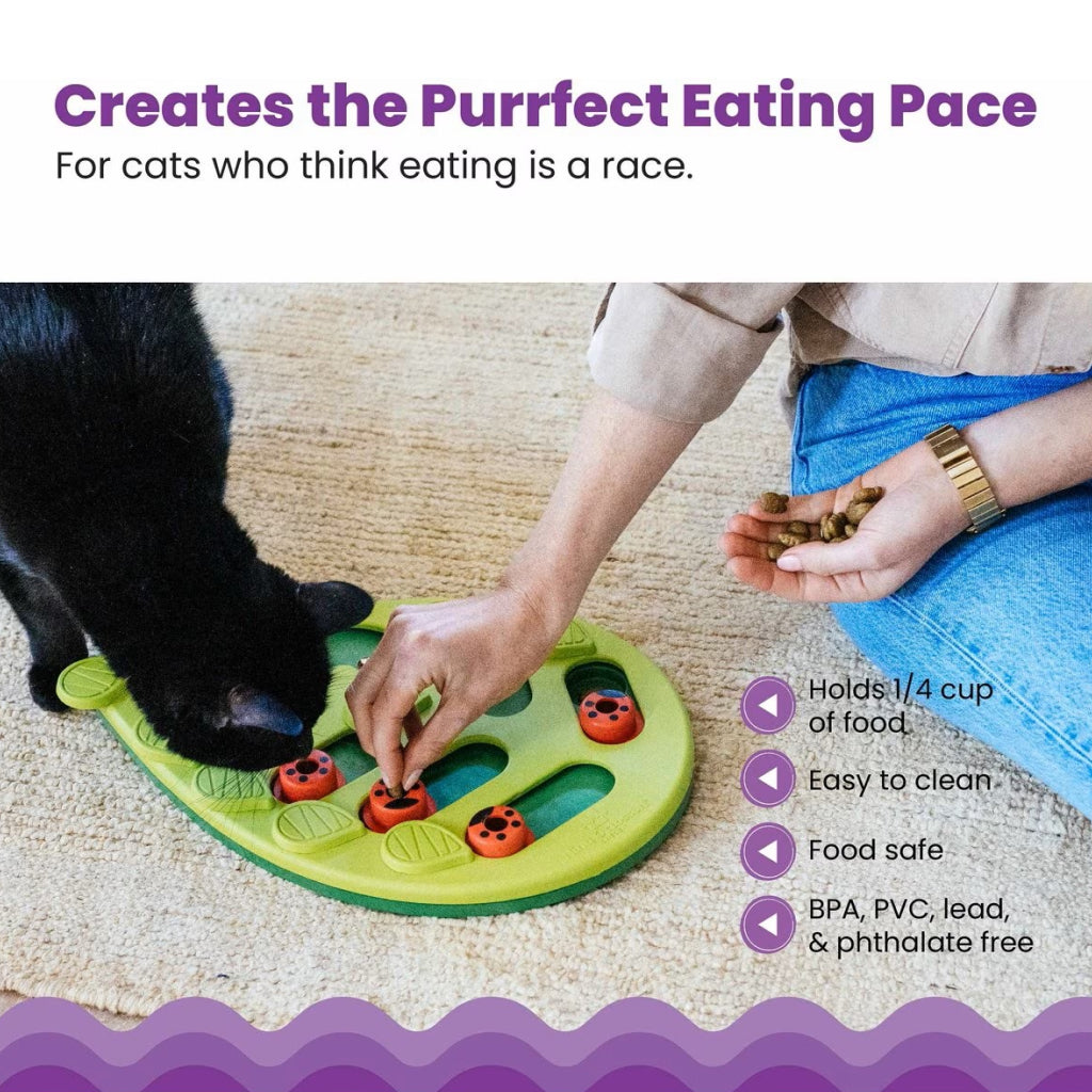 Outward Hound Nina Ottosson Buggin' Out Puzzle & Play Interactive Treat Puzzle For Cat