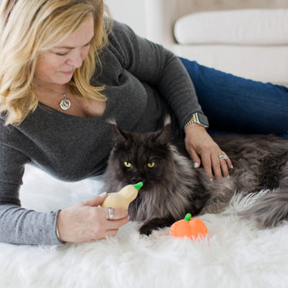 Pearhead Oh My Gourd Toys For Cat (2 pack)
