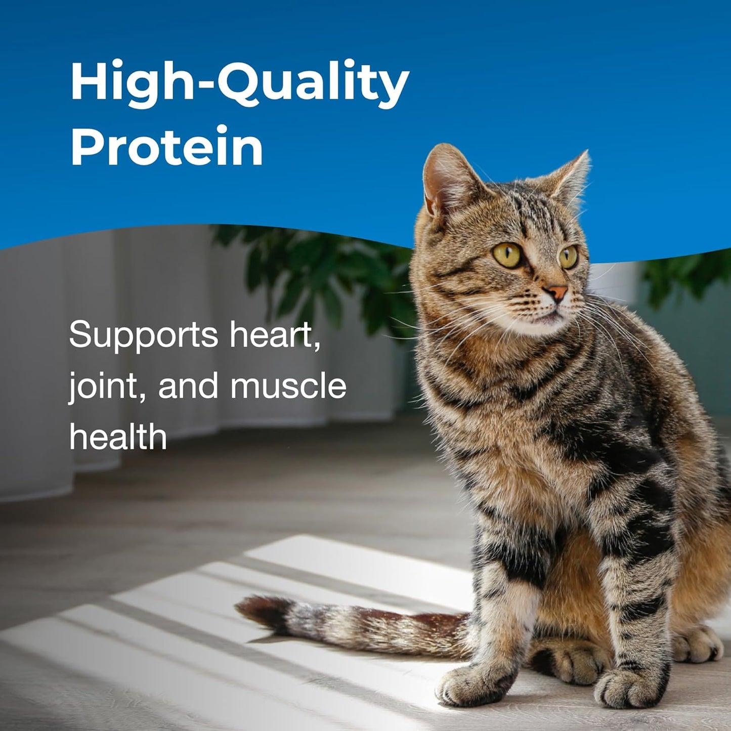 PetAg Esbilac Healthy Aging Supplement for Cats (14 oz) - Cat Vitamins & Supplements 3