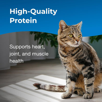 PetAg Esbilac Healthy Aging Supplement for Cats (14 oz) - Cat Vitamins & Supplements 3