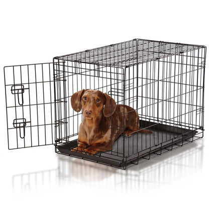 Dog inside a black wire crate on a white background