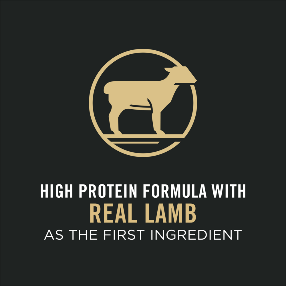 Purina Pro Plan Focus Adult Sensitive Skin & Stomach Lamb & Rice Formula Dry Cat Food