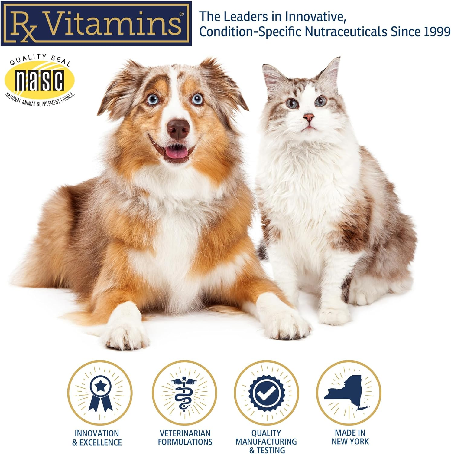 Rx Zyme Digestive Enzyme Powder (4.2 oz) - Dog Supplements & Vitamins 7
