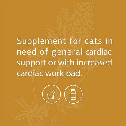 standard process feline cardiac support