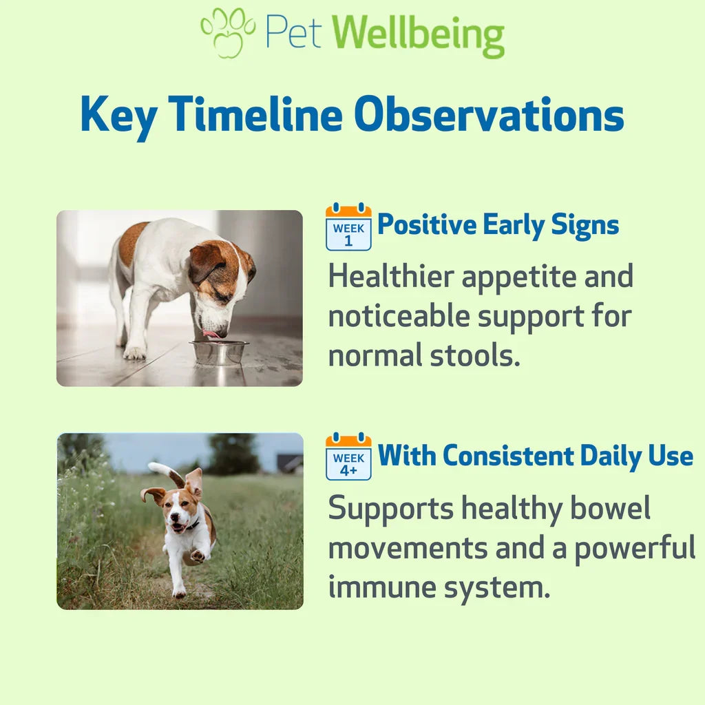 Ultimate Probiotic 9 Strains with Prebiotics for Dogs (11.29 oz) - cat Vitamins & Supplements 8