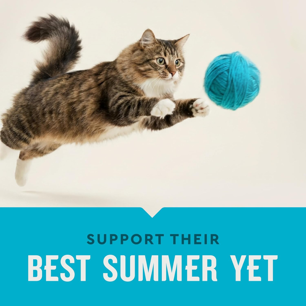 Vet IQ Allergy Pro Treats for Cats (30 Day Supply)