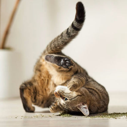 Yeowww! Organic Catnip For Cat Toys, 1-ounce
