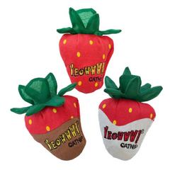 Pack of 3